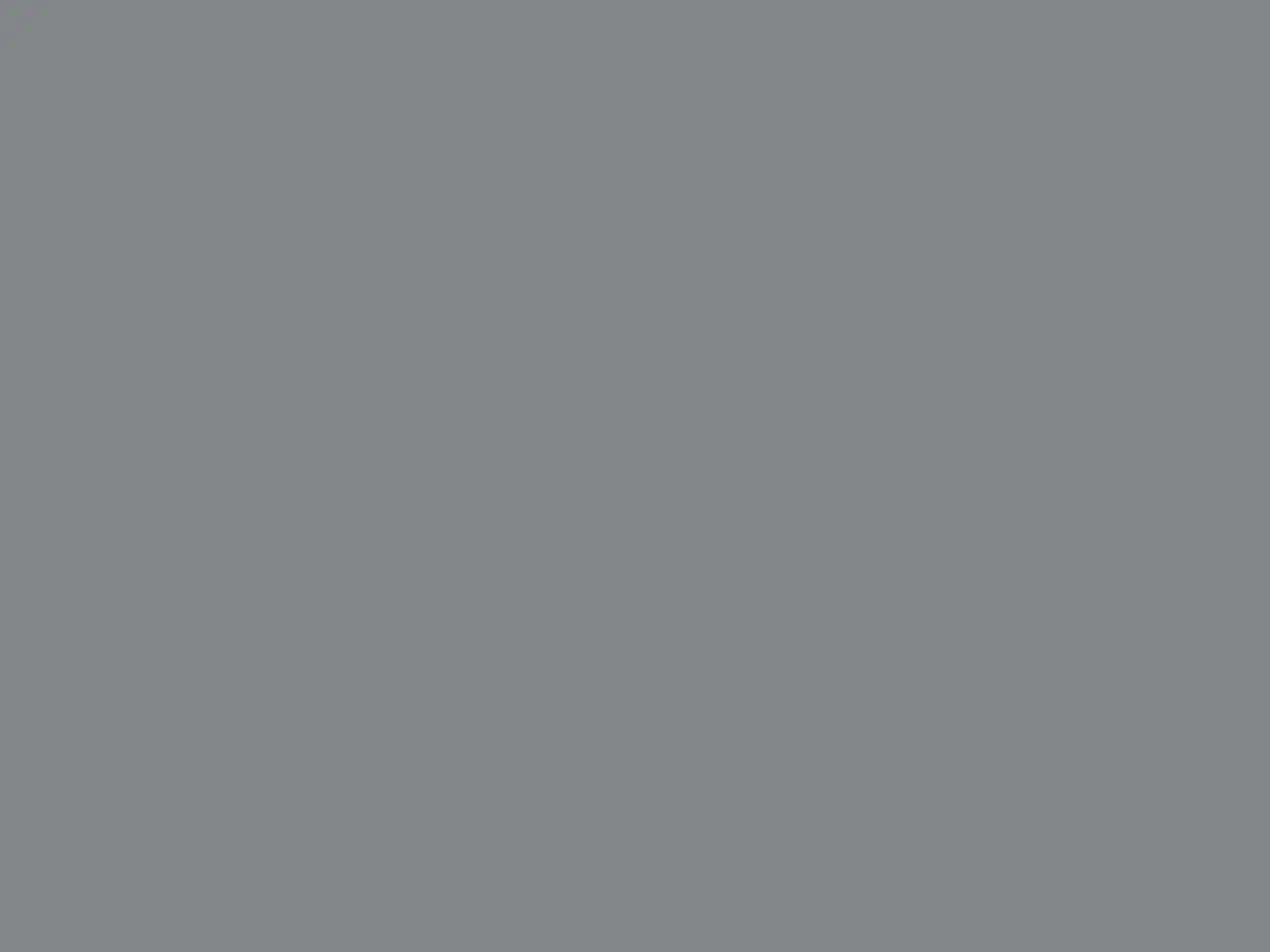 ORACAL 631 076 M Telegrey Matt raw color