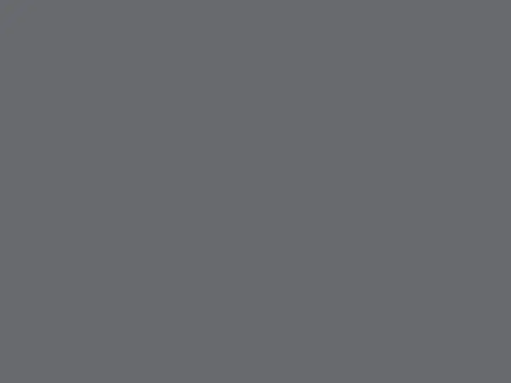 ORACAL 631 090 G Silver grey Glossy raw color