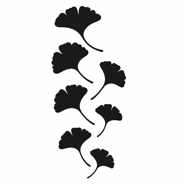 Ginkgo Cascade Wandtattoo primary image