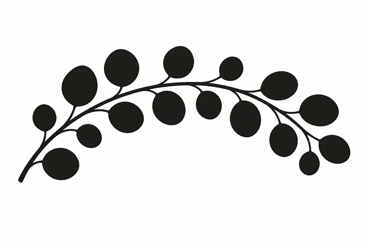 Eucalyptus Arc Wandtattoo