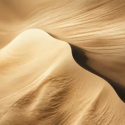 Dune Wind – Abstract Dune Photography