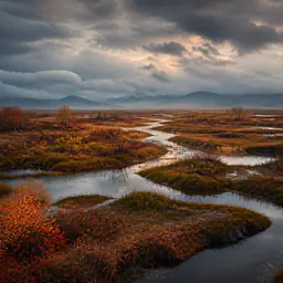 Autumn Marsh – stimmungsvolle Marschlandschaft
