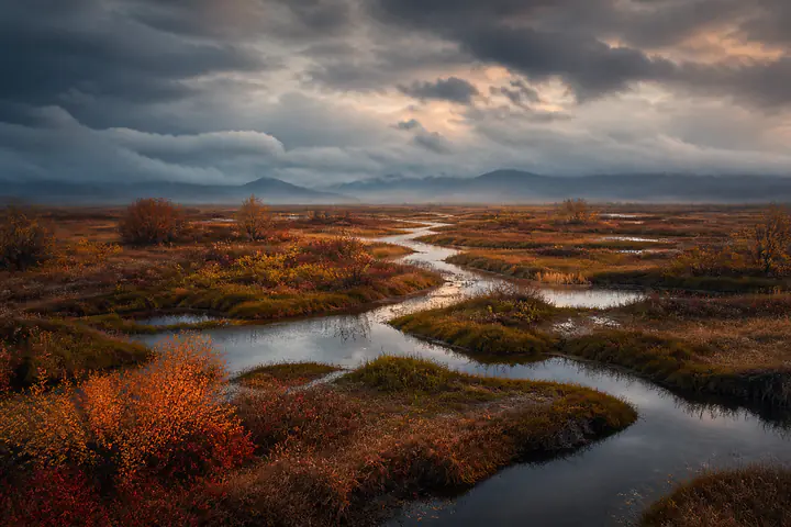 Autumn Marsh – stimmungsvolle Marschlandschaft